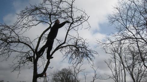 Der Mann der über Äste in den Himmel spaziert