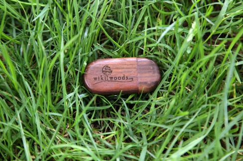 First Prize: Exclusive WikiWoods 8MB USB-Stick