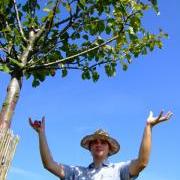 :-) Obstpflücker nicht vergessen :-)